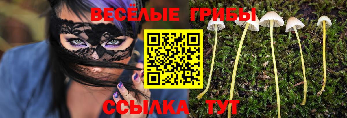 Псилоцибиновые грибы ЛСД Зерноград