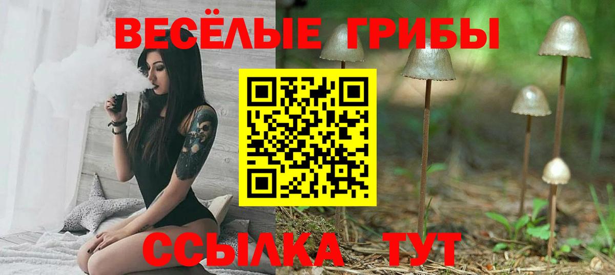 Зерноград  Псилоцибиновые грибы прущие грибы  Вход с VPN 